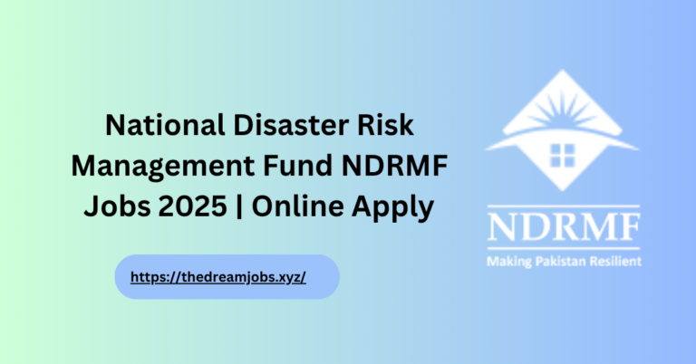NDRMF Jobs 2025
