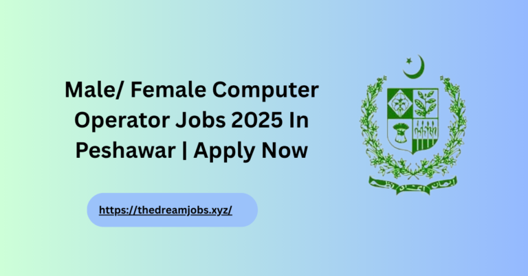 Jobs 2025