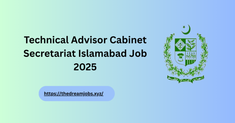 Technical Advisor Cabinet Secretariat
