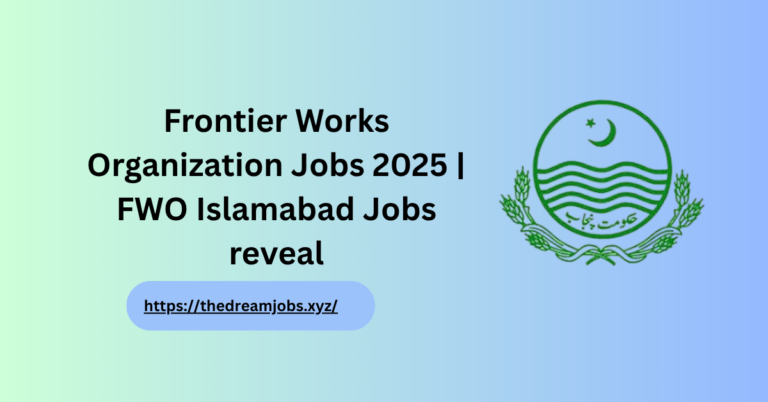 Frontier Works Organization