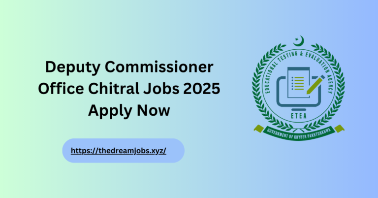 Deputy Commissioner