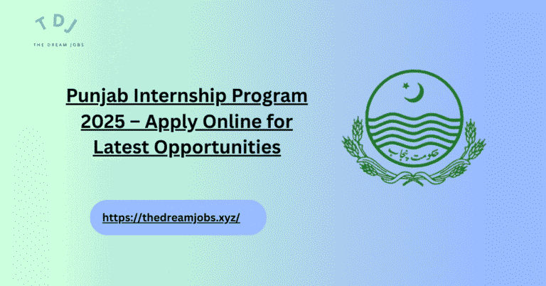Punjab Internship Program 2025