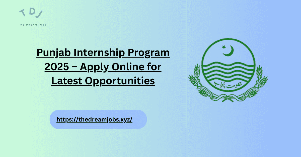 Punjab Internship Program 2025